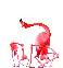 flamingos-dancing